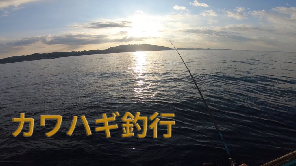 カワハギ釣行