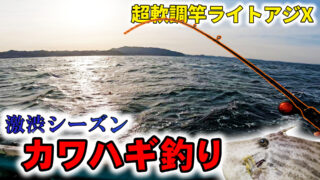 3月の超低活性カワハギ攻略！ライトアジXを試してみた結果｜ふっ