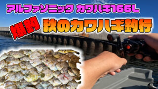 秋の東京湾で50枚突破！アルファソニック166Lでカワハギ数釣りに挑戦