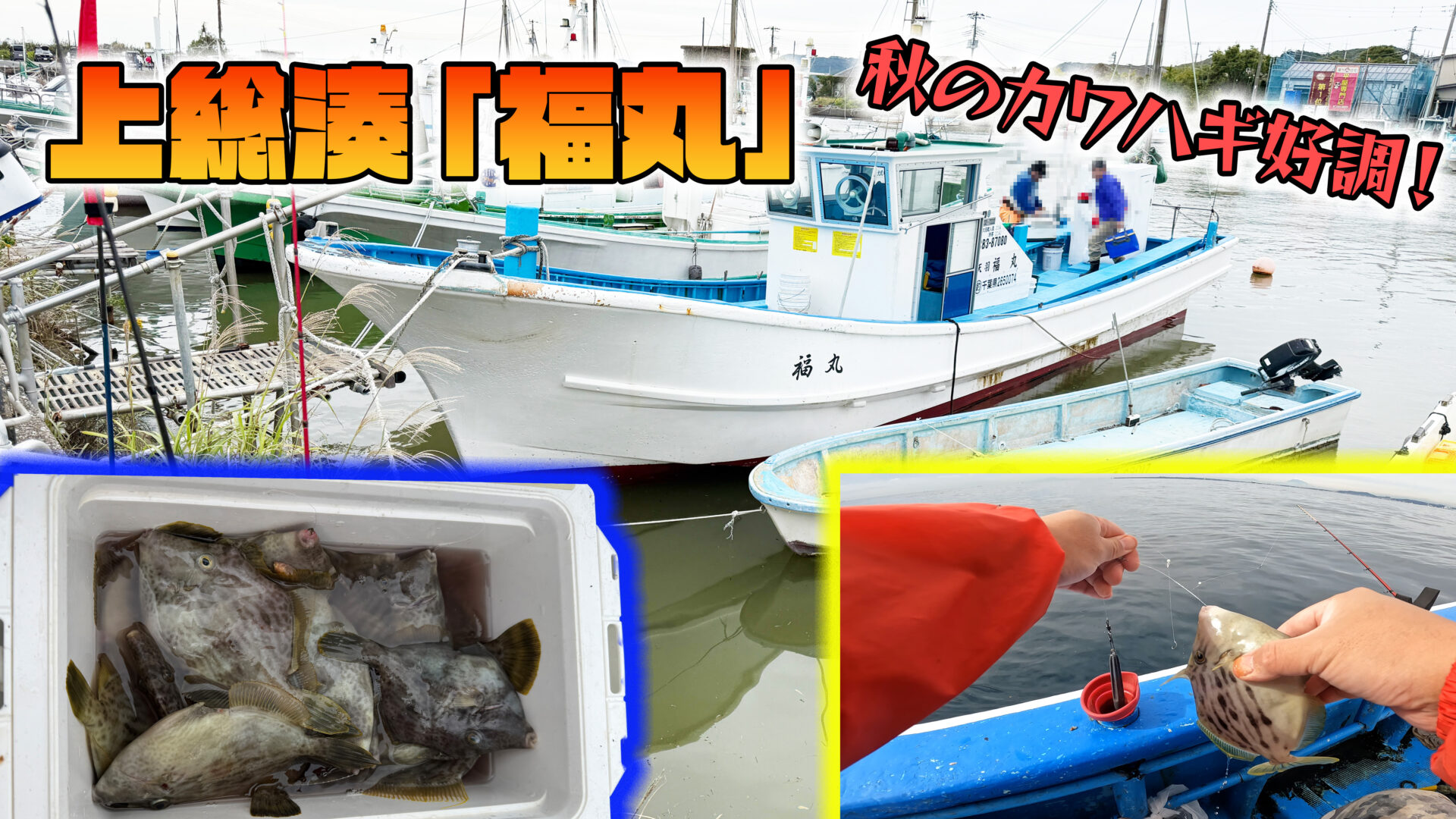 初めてでも安心！上総湊『福丸』の乗船ガイド＆カワハギ釣りレポート